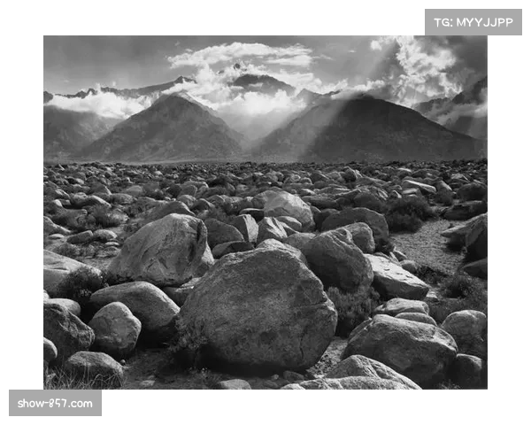 亚当斯虽未破门但制造多次威胁,塞维利亚锋线依赖其冲击力 亚当斯虽未破门但制造多次威胁,塞维利亚锋线依赖其冲击力